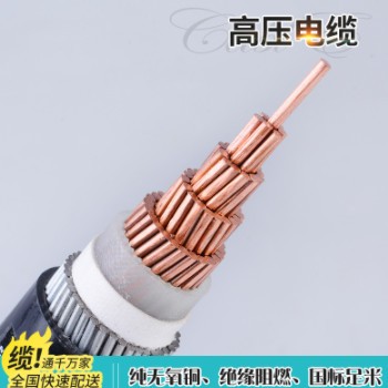 现货绝缘橡胶纯铜铠装电力输电高压线户外三芯高压铜芯 电缆线图1