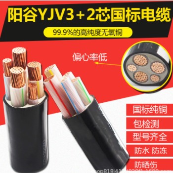 厂家批发阳谷YJV3+2芯阻燃低压电缆铜芯地埋铠装电缆架电力电缆