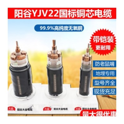 阳谷大金YJV22 4+1芯电缆线带铁皮室外动力电缆铠装25 10 300平