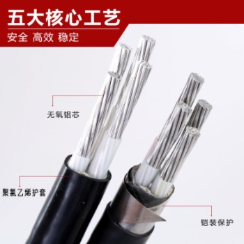 铝芯电缆线YJLV2芯3芯5芯10 16 25 35 50平方铝电缆低压电力电缆图3