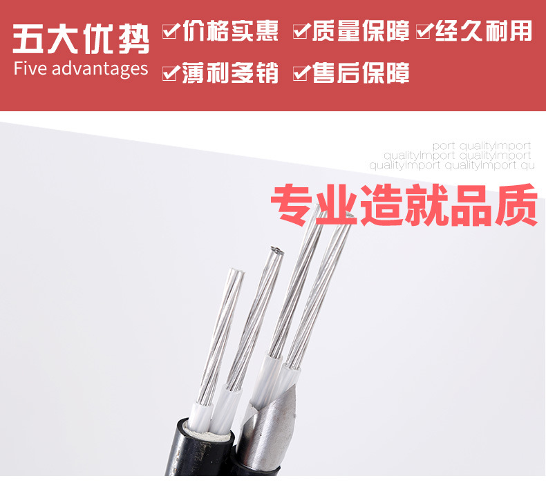 bv-bvr电源线详情_03.jpg
