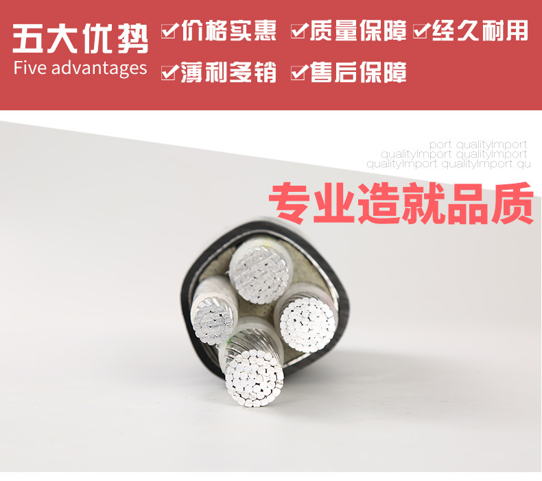 bv-bvr电源线详情_03.jpg