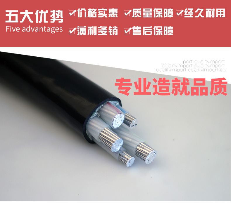 bv-bvr电源线详情_03.jpg