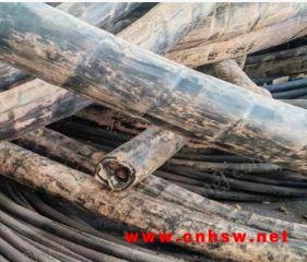 河北地区现金求购废旧电缆图1