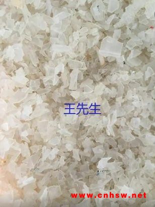 浙江舟山大量回收PP废料图1