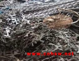 佛山大量收购废铁
