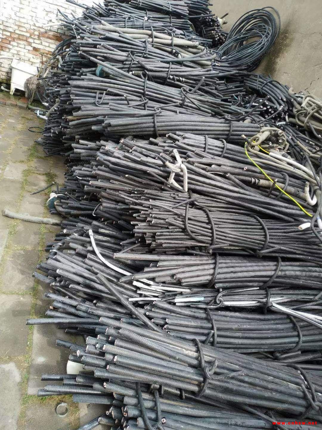 高价回收电线电缆