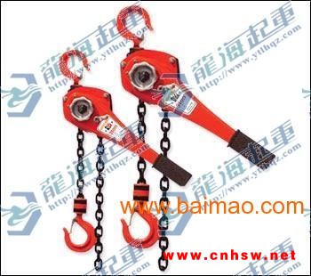 合肥环链手扳葫芦【可与单轨行车组合使用】龙海图1