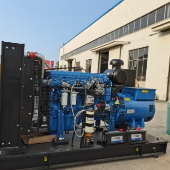 玉柴300KW发电机组 医院学校应急发电机组 玉柴柴油发电机组图3