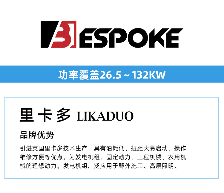 里卡多发电机组--50KW_09.jpg