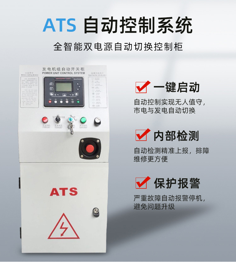 里卡多发电机组--50KW_08.jpg