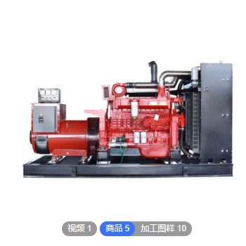里卡多 300KW柴油发电机组 ZH4100医院大功率备用电源定制原厂图3