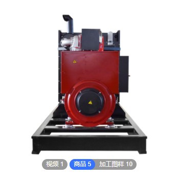 里卡多 300KW柴油发电机组 ZH4100医院大功率备用电源定制原厂图2