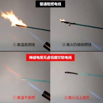禅诚电缆WDZ-BYJ无卤低烟阻燃国标1.5/2.5/4/6平方家用环保硬图3
