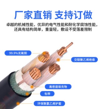 厂家直供N-YJV国标铜芯电缆 3芯4芯铜芯交联耐火电力电缆图3