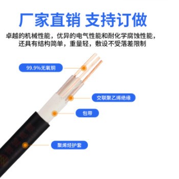 禅诚电缆纯铜WDZC-KYJY 2/3芯0.5/0.75/1/1.5/2.5/平方控制电缆图2