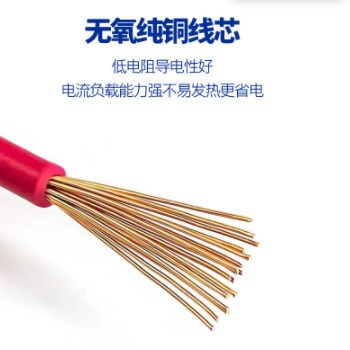 批发家装南方珠江牌国标电线BVR2.5 4 6平方铜芯多股多芯阻燃电线图2
