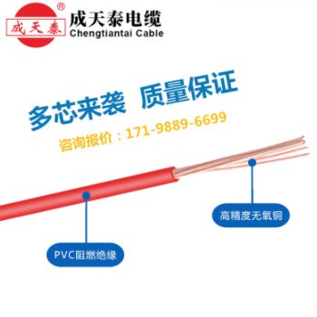 厂家直销 成天泰电线BVR2.5/4平方6平方家装无氧铜多股软电线图3