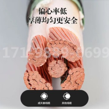 厂家直销深圳成天泰YJV铜芯电力电缆3芯4芯5芯 3+1 3+2价格优势图3