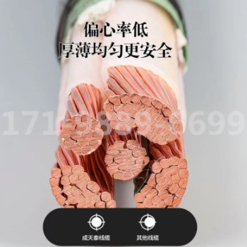 厂家直供 源头厂家 国标成天泰电力电缆5芯 YJV-3*35+2*16mm2图2