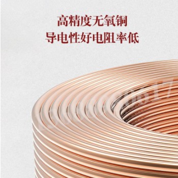 厂家直供成天泰 BVV1*10-300平方双塑纯铜多股绝缘电线工业护套线图3
