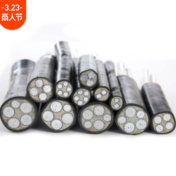 铠装铝芯电线工程低压电力电缆YJLV22 3*70+2*35厂家现货天津小猫图2