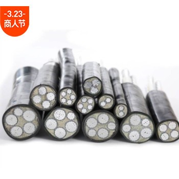 YJLV22 3*95+2*50抗老化动力电缆 电力工程专用低压铝芯电线小猫图3