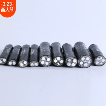 YJLV22 3*95+2*50抗老化动力电缆 电力工程专用低压铝芯电线小猫图2