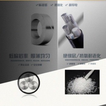 YJLV铝芯电缆线4 5芯70 95 120 150 185 240平方3+1铝线3+2图2