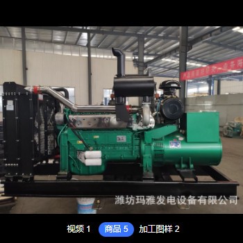 潍坊200千瓦kw发电机组 工地房地产纯铜无刷大功率柴油机发电机组图2