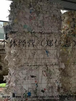 各种废纸（白卡，铜版，口杯纸，花纸边，灰板，牛皮纸）